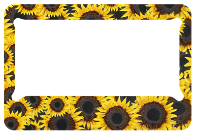 Sun-flower  - MC